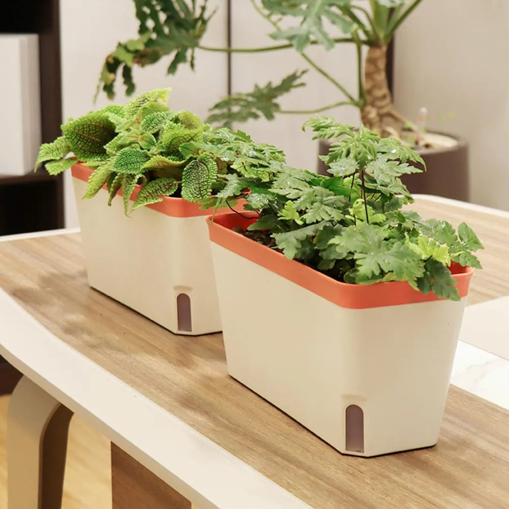 Aqua Layer Rectangular Self-Watering Planter