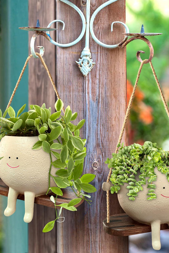 Swing Face Hanging Flower Pot