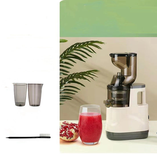 Masticating Juicer Machine