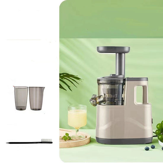 Masticating Juicer Machine
