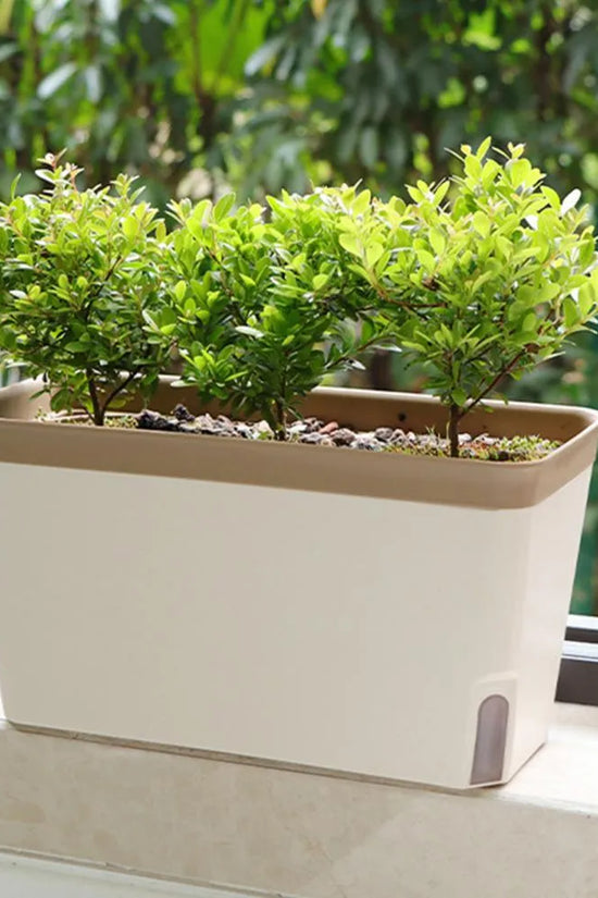 Aqua Layer Rectangular Self-Watering Planter