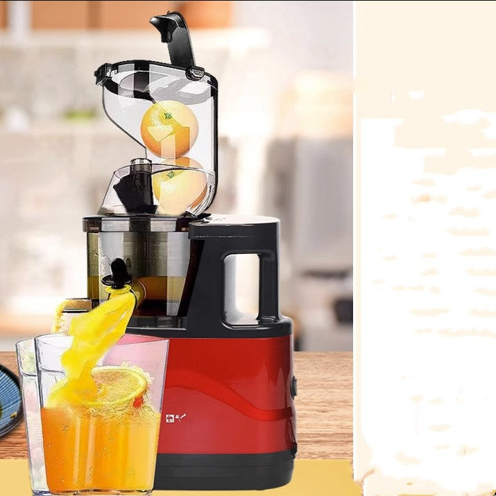 Masticating Juicer Machine