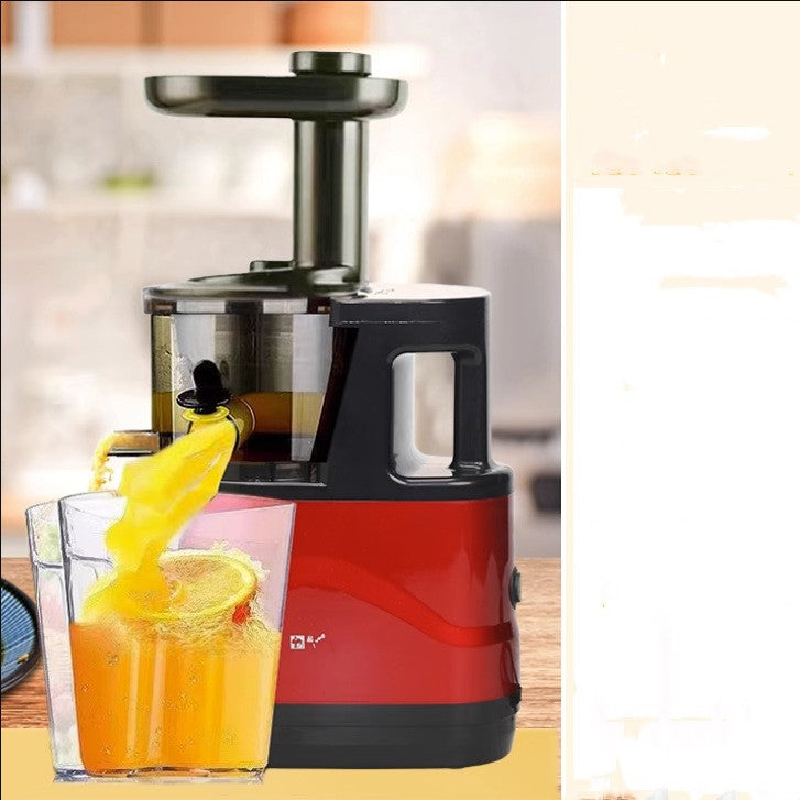 Masticating Juicer Machine